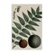 Stupell Industries Vintage Walnut & Leaf Canvas Wall Art Design by Graffi*tee Studios